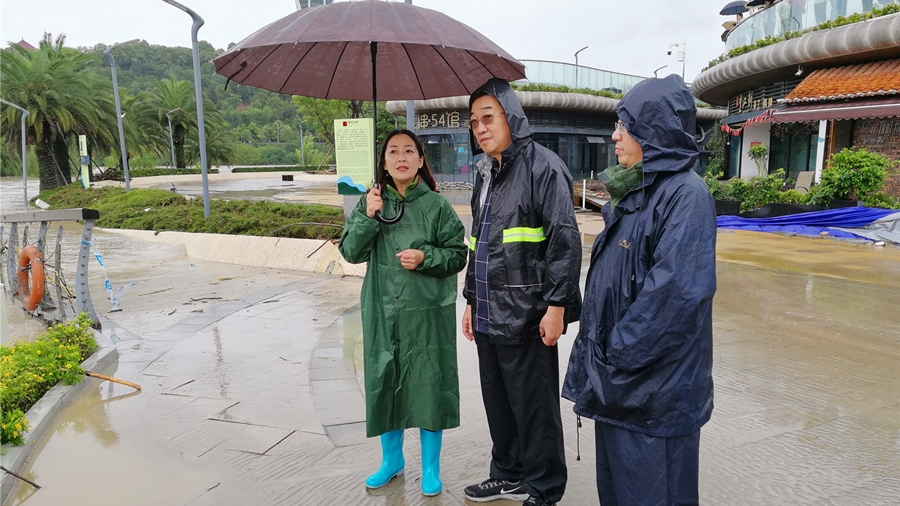 04-8月16日，程總視察三江半島及豪威爾號(hào)受損情況_副本