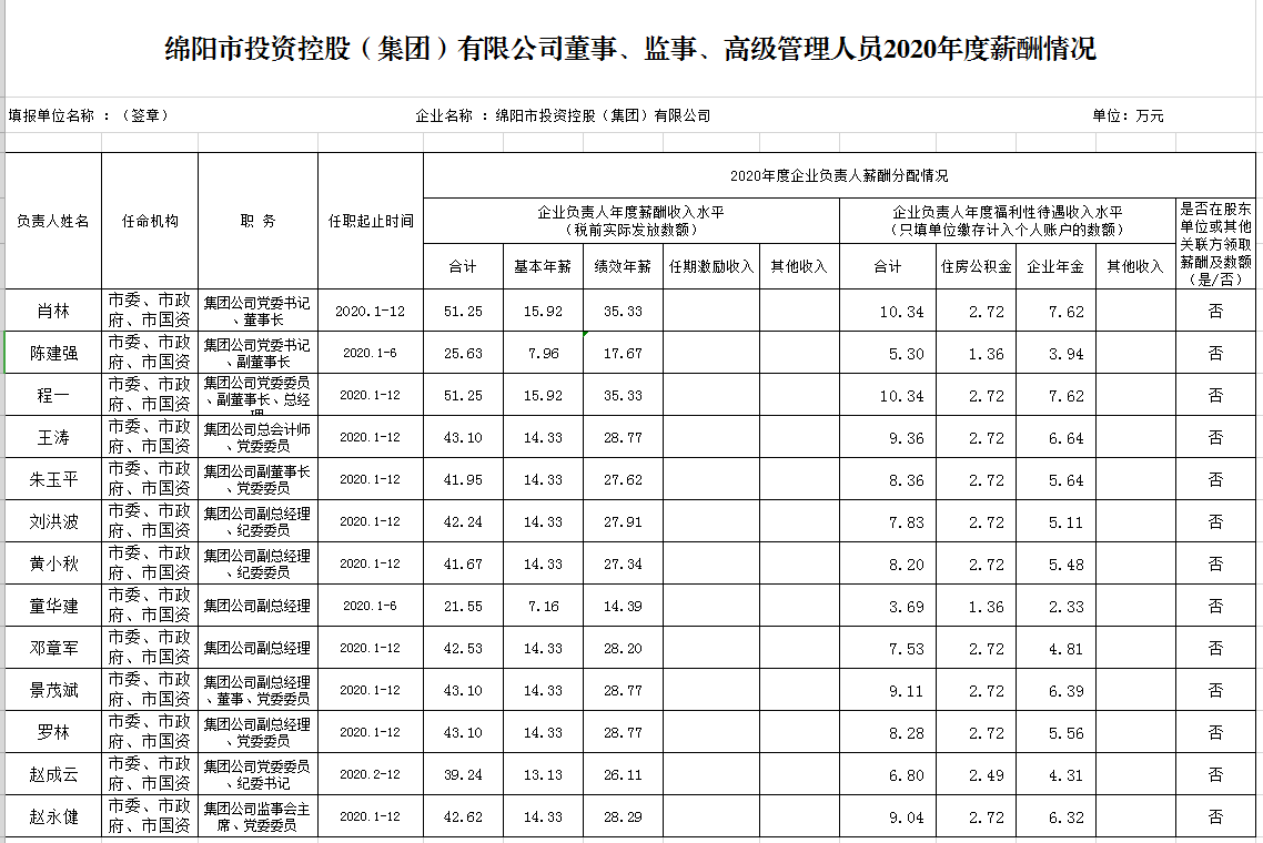 2020年度薪酬情況